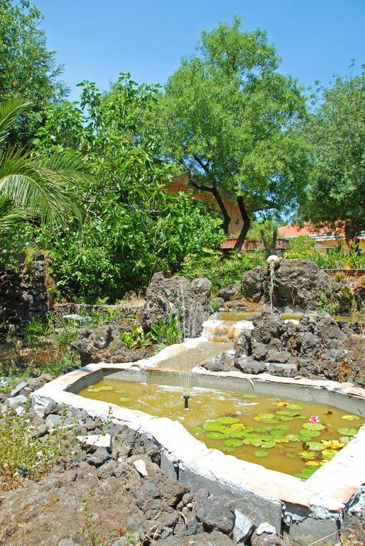 Sotto Il Vulcano Николози Екстериор снимка